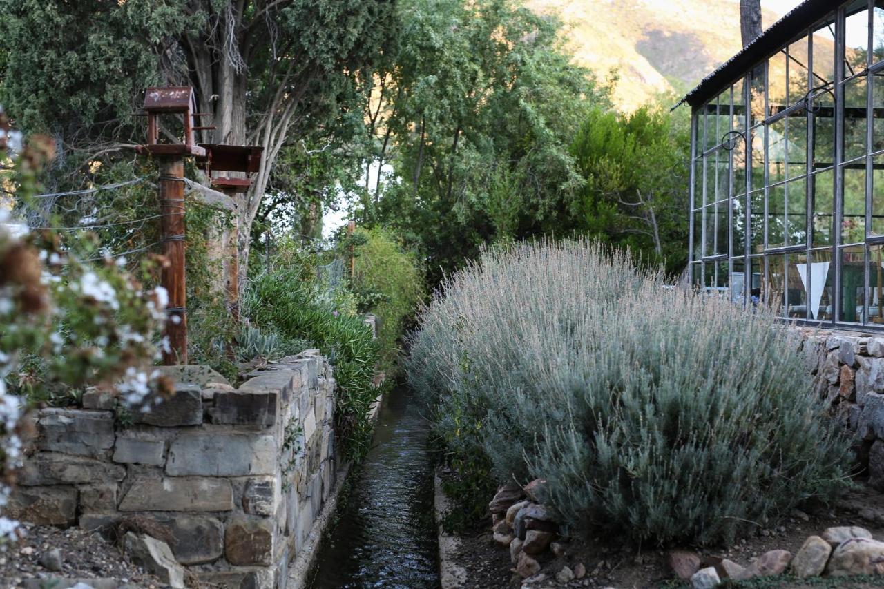 Dennehof Karoo Guesthouse برنس ألبرت المظهر الخارجي الصورة